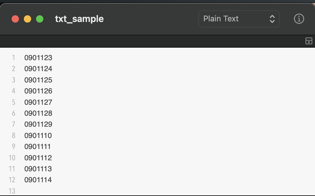 TXT file format example